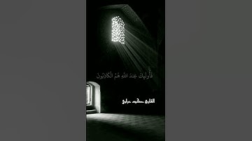 أجمل تلاوة للقارئ حكيم عرابي #القارئ #القران_الكريم #الشيخ #قران_كريم_راحة_نفسية