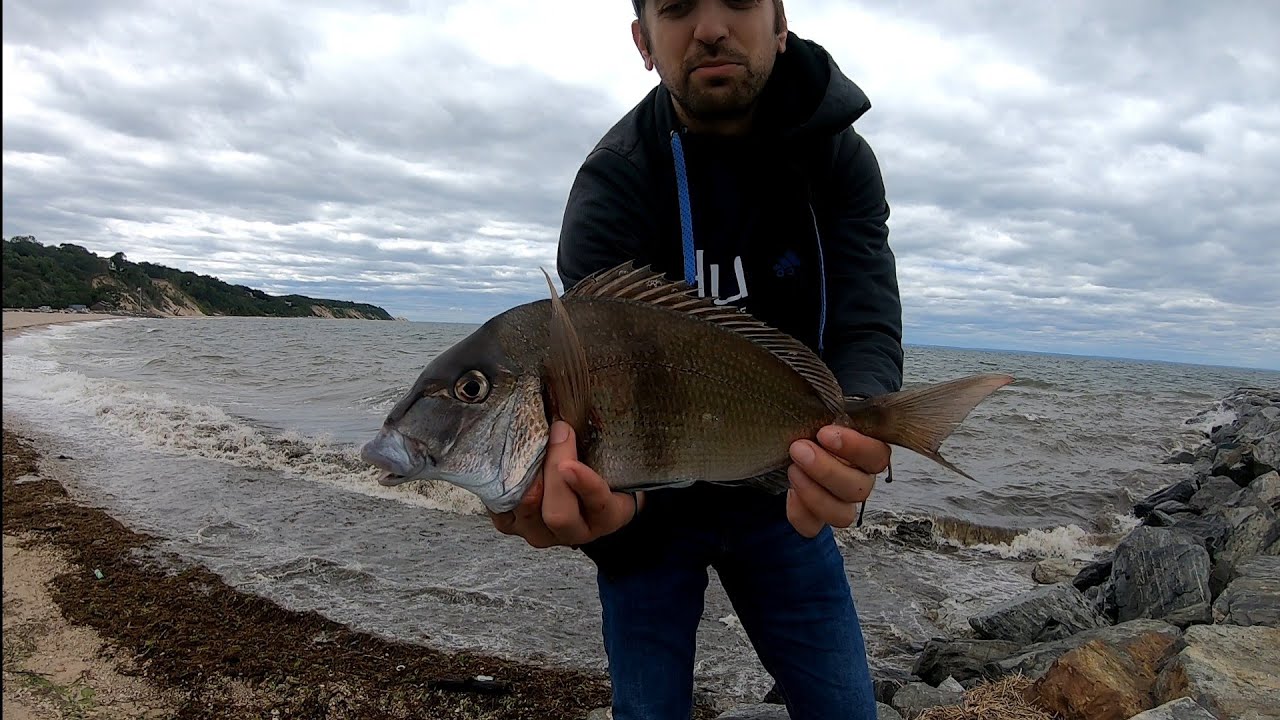 NON-STOP PORGY FISHING//Long island sound porgy & bass July 2022 - YouTube
