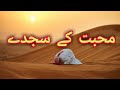 Mohabbat Kay Sajday With Lyrics Shaz Khan Sohail Moten Heart Touching Naat 