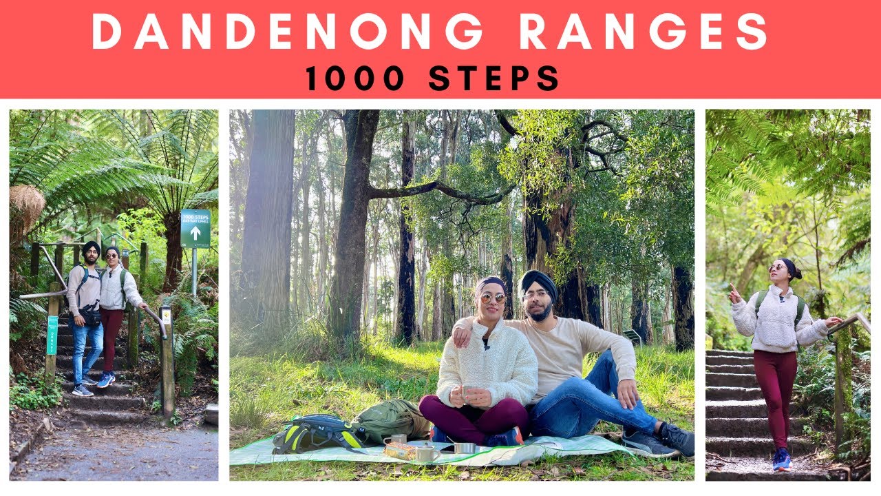 4K 1000 Steps Kokoda Track Memorial Walk Dandenong Ranges 4k-1000-steps-kokoda-track-memorial-walk-dandenong-ranges
