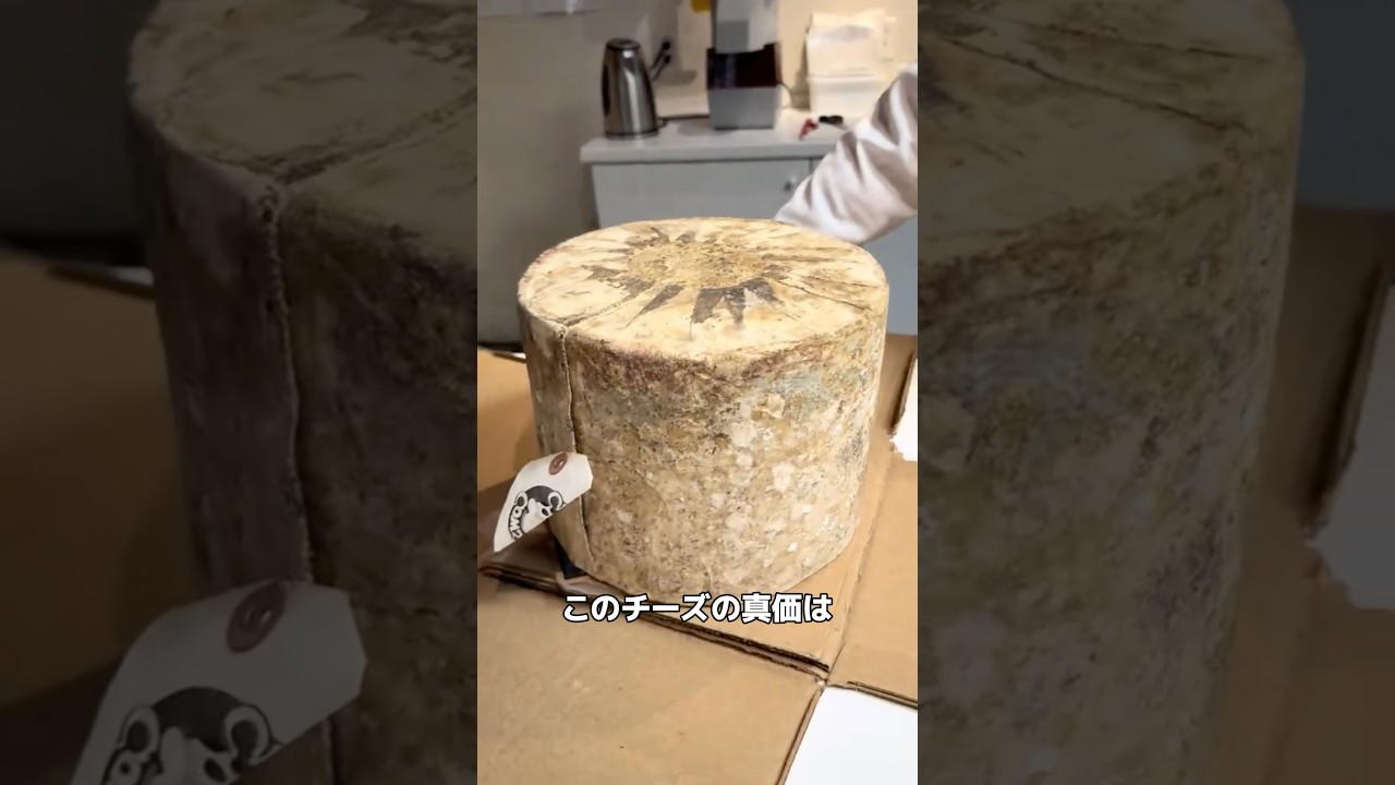 カビだらけのチーズの魅力