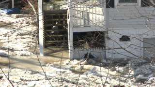 Rescues Needed During Vermilion Flooding