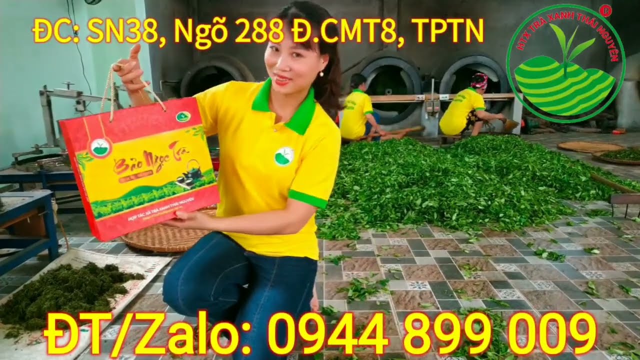 Top 10 loại trà móc câu ngon nhất và giá cả chi tiết 2023