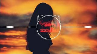 ST - Dumm Dee Dumm (remix)