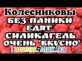 Колесниковы /Обзор Влогов /Едят силикагель /Без паники, говорит мама/Бывает /