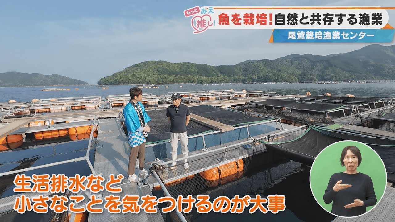魚を栽培！自然と共存する漁業 尾鷲栽培漁業センター | CBC MAGAZINE