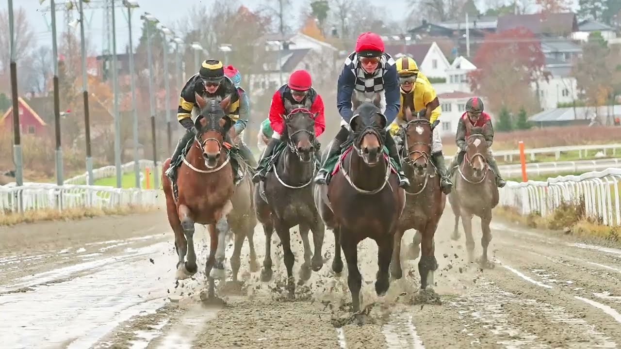 Øvrevoll Galoppbane / 05.11.2023 / 13:00 Cet / Race #6 / 2400Dt / Høstbonus Bronsedivisjon Stayer