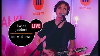 Video voorbeeld van "Kwiat Jabłoni - Niemożliwe live (MUZO.FM)"