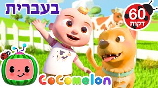 בינגו בחווה | שירי ערש לתינוקות | CoComelon - קוקומלון בעברית