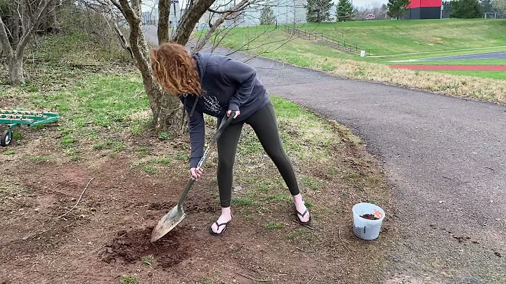 Elizabeth Burke's Process Videos: Step 1. Dirt Col...