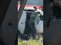 Train Crashes Into School Bus In Belgium