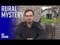 Summer Wells Case Analysis | Rural Home Mystery