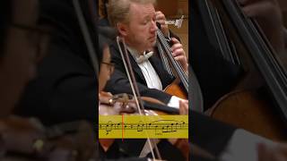 Mendelssohns Cellos Sound So Beautiful