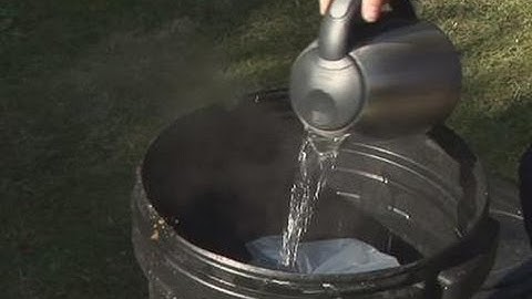 How To Eliminate Maggots