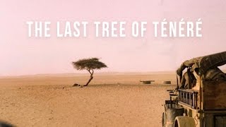 Last Tree of Ténéré | 100 Wonders | Atlas Obscura