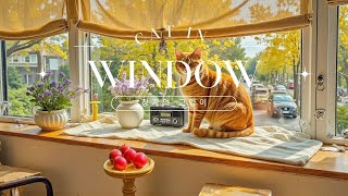Cat by the window(창가의 고양이) by Starbucks Bossa Beats - Video 