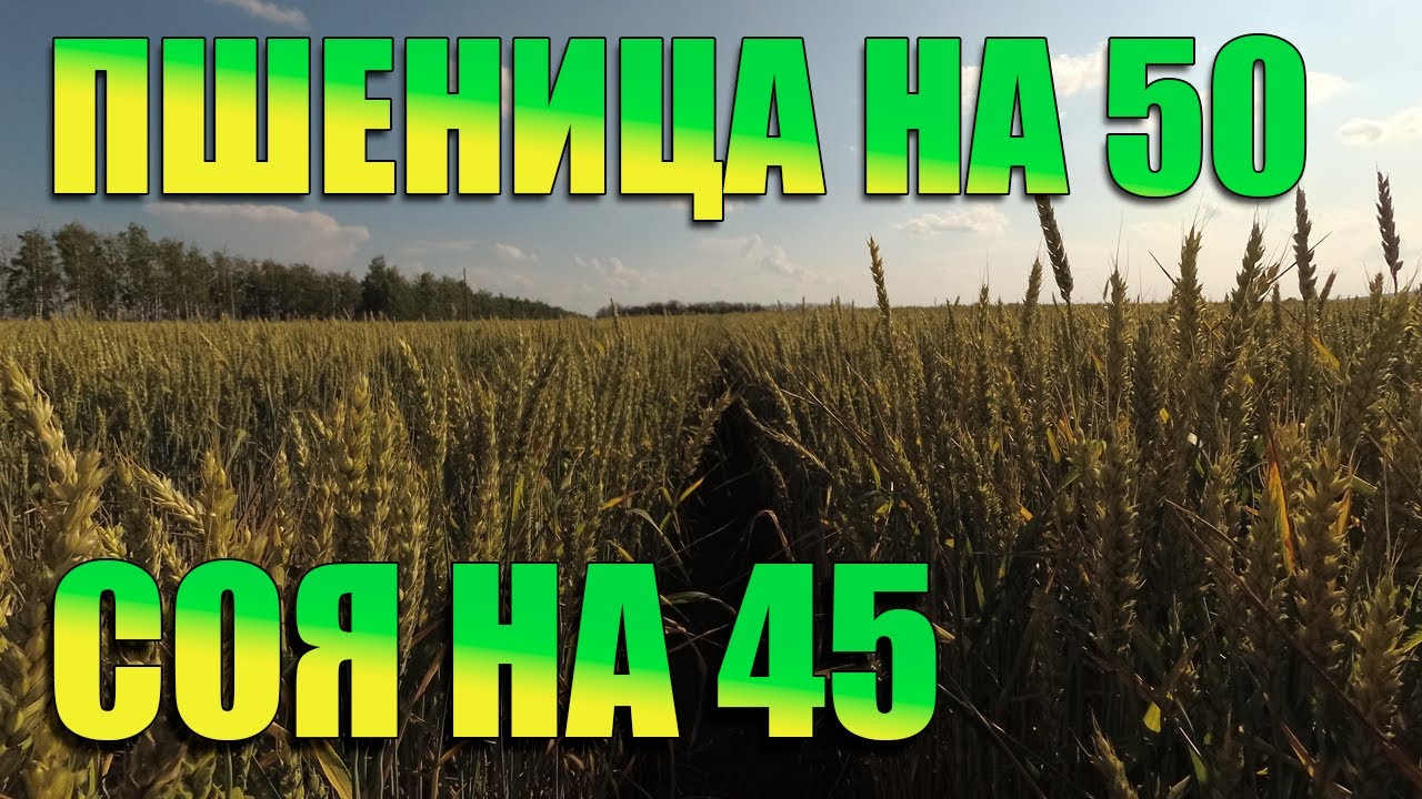 Объезд полей №3.02.07.2023г. - YouTube