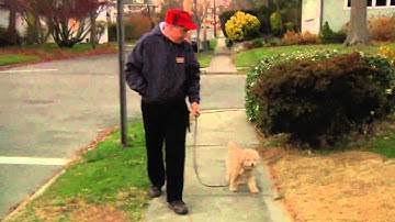 Empty Nest (Father and Son)