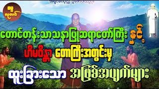 တောင်တန်းသာသနာပြုဆရာတော်ကြီးဦးဥတ္တမသာရနှင့် ဟိမဝန္တာတောကြီးအတွင်းက ထူးခြားဆန်းကြယ်သော အဖြစ်အပျက်များ