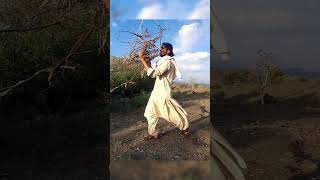 Wild life of a angry Boy #asmr