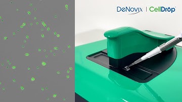CellDrop Applications | Counting Yeast