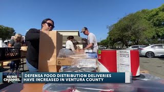 VC Defensa Volunteers Help Meet Increased Demand for Food Following ICE Raids