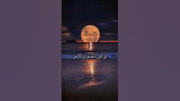 وَنُرِيدُ أَن نَّمُنَّ عَلَى ٱلَّذِينَ ٱسْتُضْعِفُواْ فِى ٱلْأَرْضِ #محمد_صديق_المنشاوي #سورة_القصص