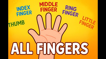 👋 Learn All About Fingers! | Thumb, Index, Middle, Ring & Little Finger for Kids