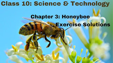 Class 10| SEE  | Science and Technology | Chapter 3 (Lifecycle of Honeybee) Exercises | Solutions