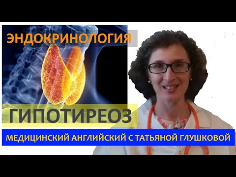 Гипотиреоз. Эндокринология. Разбор статьи. Медицинский английский с Татьяной Глушковой