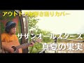 【フル】アウトドアな弾き語りカバー「真夏の果実」 /サザンオールスターズ(cover by @なおポップ)