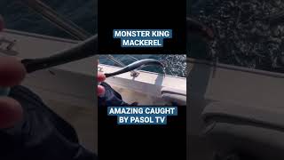 Monster King Mackerel Amazing Caught Bypasol Tv