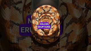 This Ball Python Predicts Volcanoes Better Than Scientists