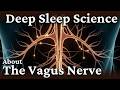 The Most Deep Sleep Science About The Vagus Nerve | Gentle Science