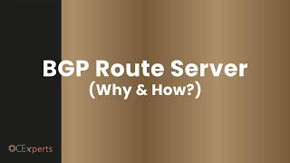 BGP Route Server