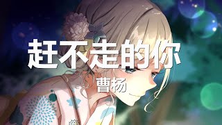 曹杨 - 赶不走的你 (歌词) 💗♫