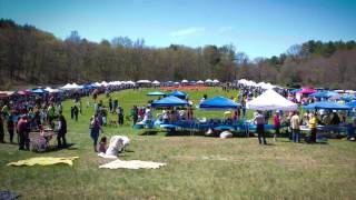 Save A Dog - Paws in the Park 2013 Timelapse