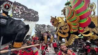 ABANG RONI | JUJU TIO - PANCA MUDA - DESA BUDUR CIWARINGIN CIREBON 2025