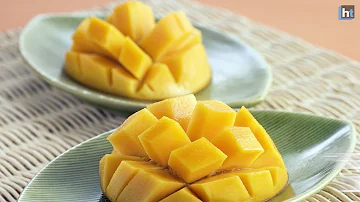 What is the best melon for weight loss?