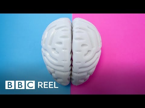 Are Male And Female Brains Different - Bbc Reel