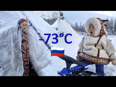 חיים פרימיטיביים של אנשים נוודים של הארקטי. הישרדות בצפון הרחוק. רוּסִיָה. Tundra Nenets - 73 מעלות