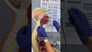 How to Insert an NG Tube Nasogastric Tube Properly1  Prepare the Equipment – Gather an NG tube