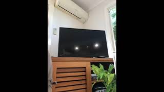 Opening To Tutenstein The Powerful One 2004 Vhs