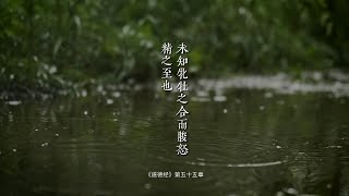 老子《道德经》欲望与本真,你的人生如何抉择?