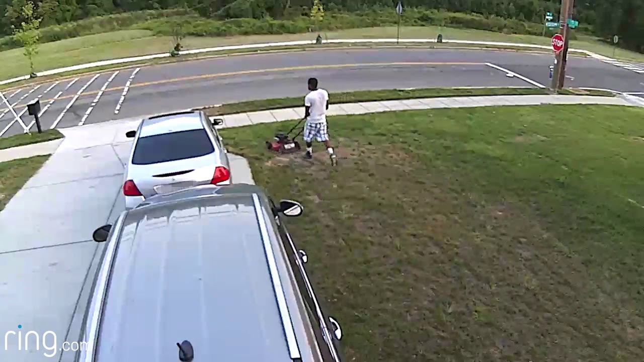 Person of Interest in Theft II, 1500 b/o Mississippi Ave, SE, on August 26, 2017 videos for cats