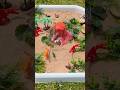 Volcano Science Experiment For Kids Shorts Volcano Science Experiment For Kids Shorts