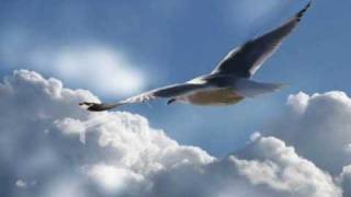 "The wind beneath my wings"  -  Nana Mouskouri chords