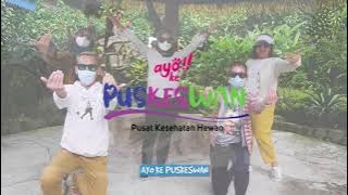 Lagu Ayo ke Puskeswan