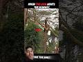 #wildlife #youtube #monkey 🐒#tiger 🐅#shorts #trending #help #viral #video #comedy