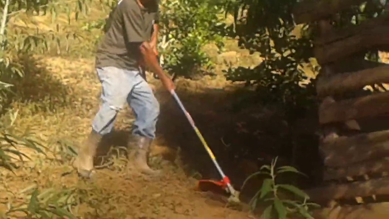 Roçando com roçadeira#dia de trabalho na roça# - YouTube
